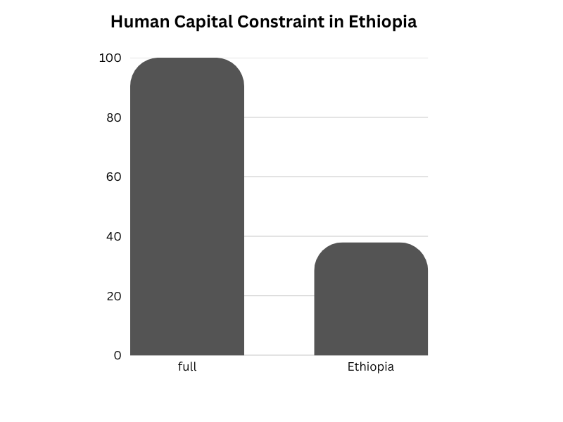 Bar chart comparing full human capital potential (100%) to Ethiopia's realized human capital (~38%)